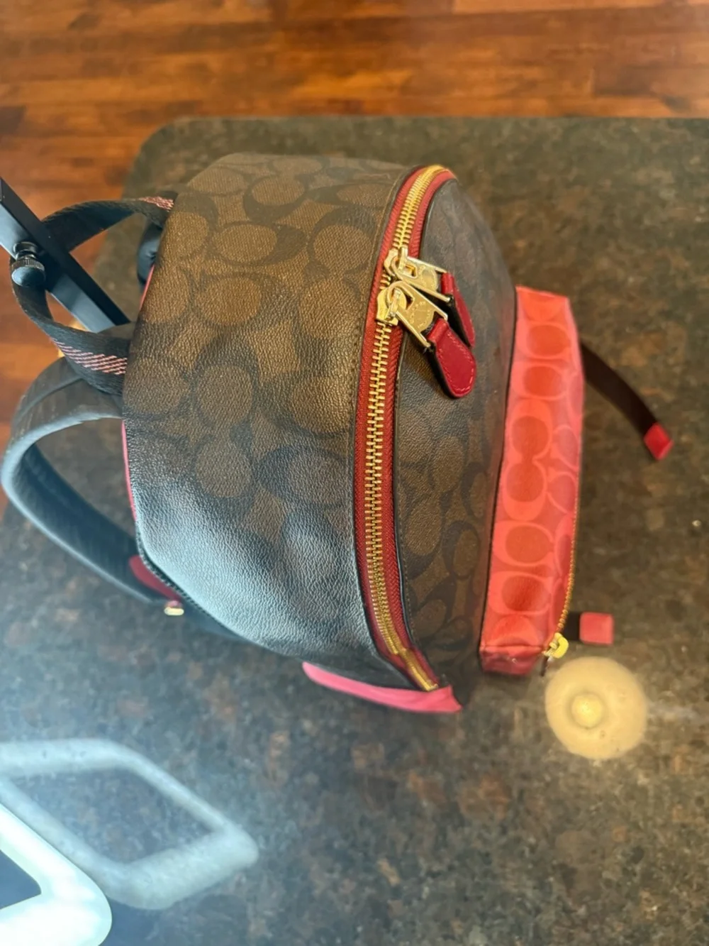 Coach Brown and Pink Signature Backpack